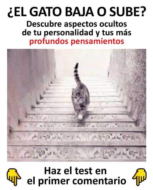 FB_IMG_1672430118292.jpg