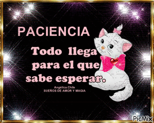 paciencia dice siempre don vicenzo.gif