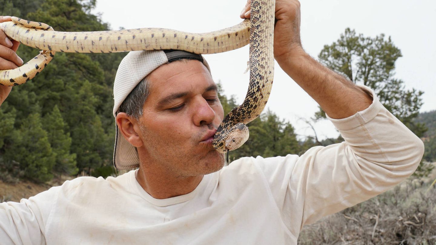 si le haces caso a las serpientes te haces millonario jijiji.jpg