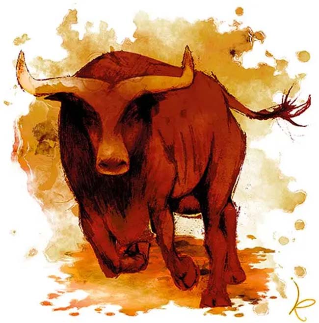 toro.jpg