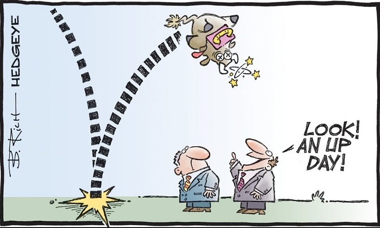 Rebote-del-gato-muerto-o-dead-cat-bounce.jpg