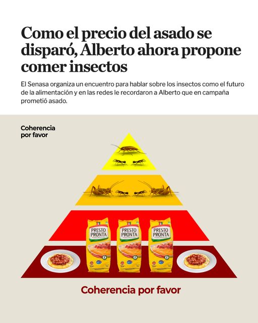 Comer insectos.jpg