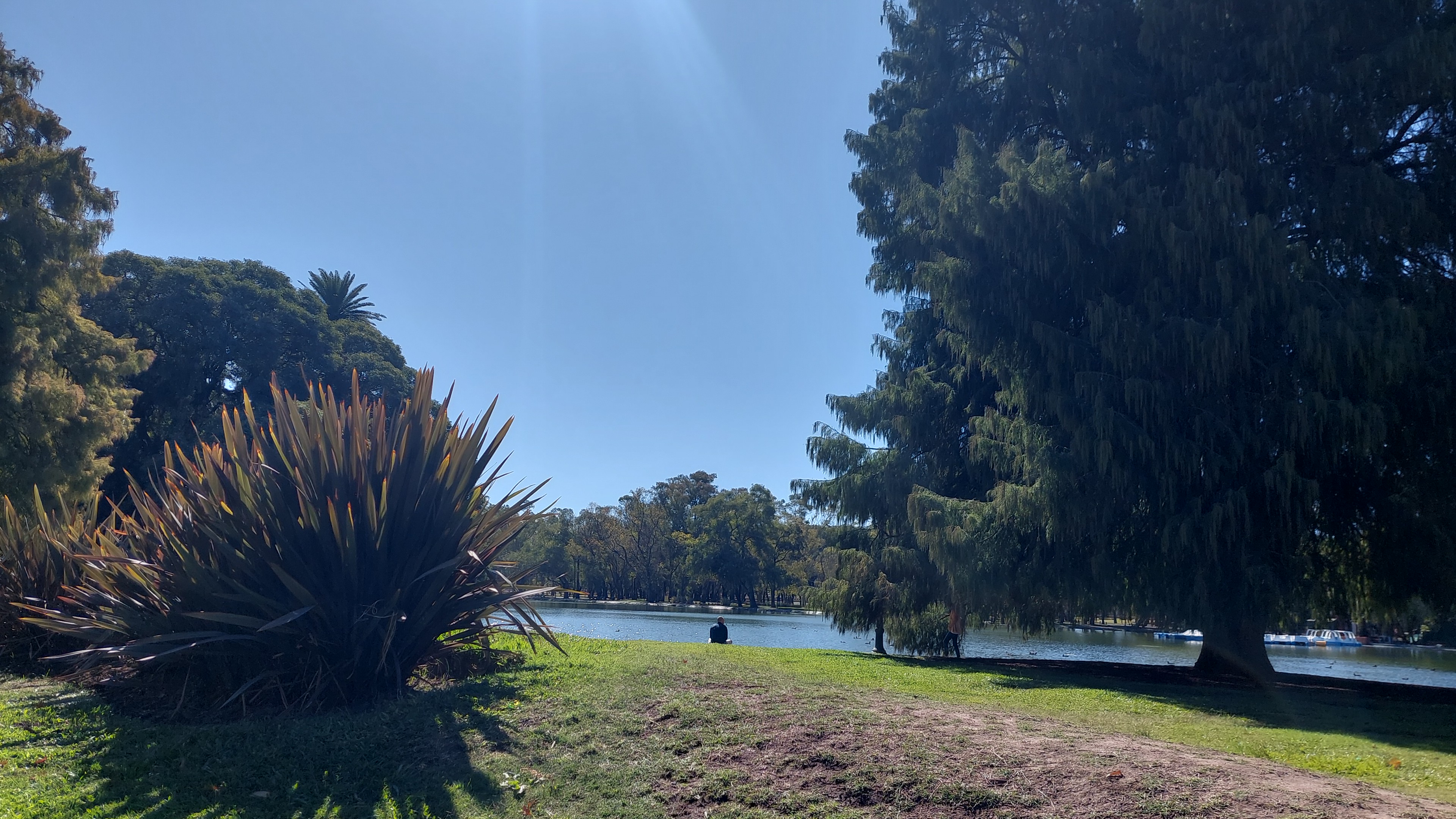 IMG-20230420-WA0015.jpeg