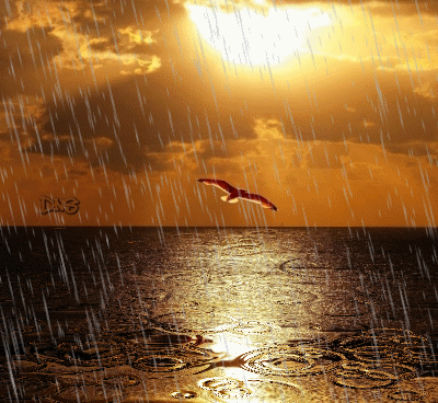 AL30D.gif