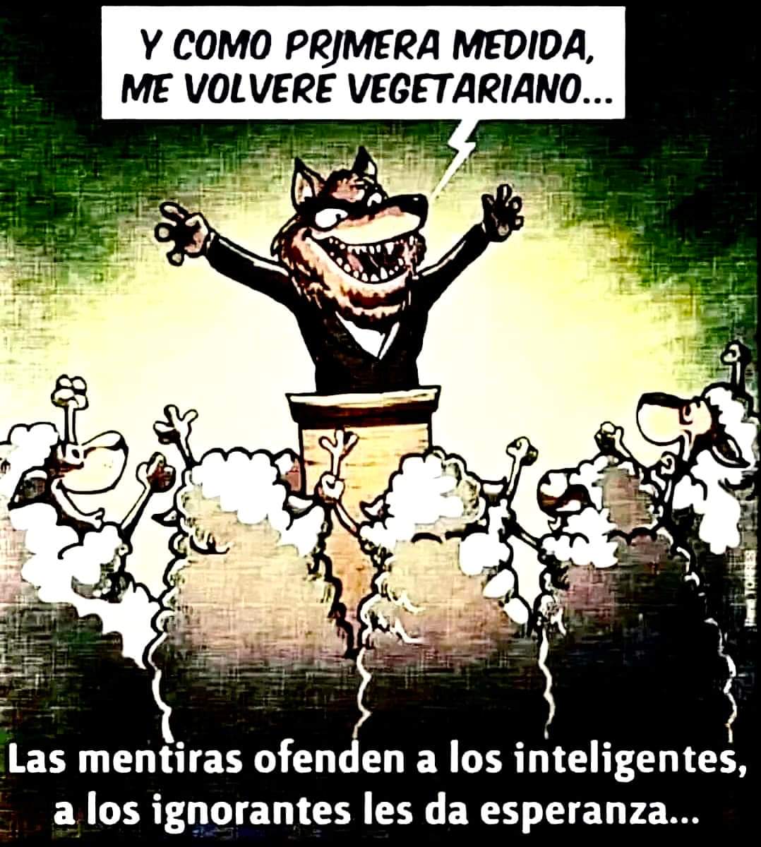 FB_IMG_1686354499028.jpg