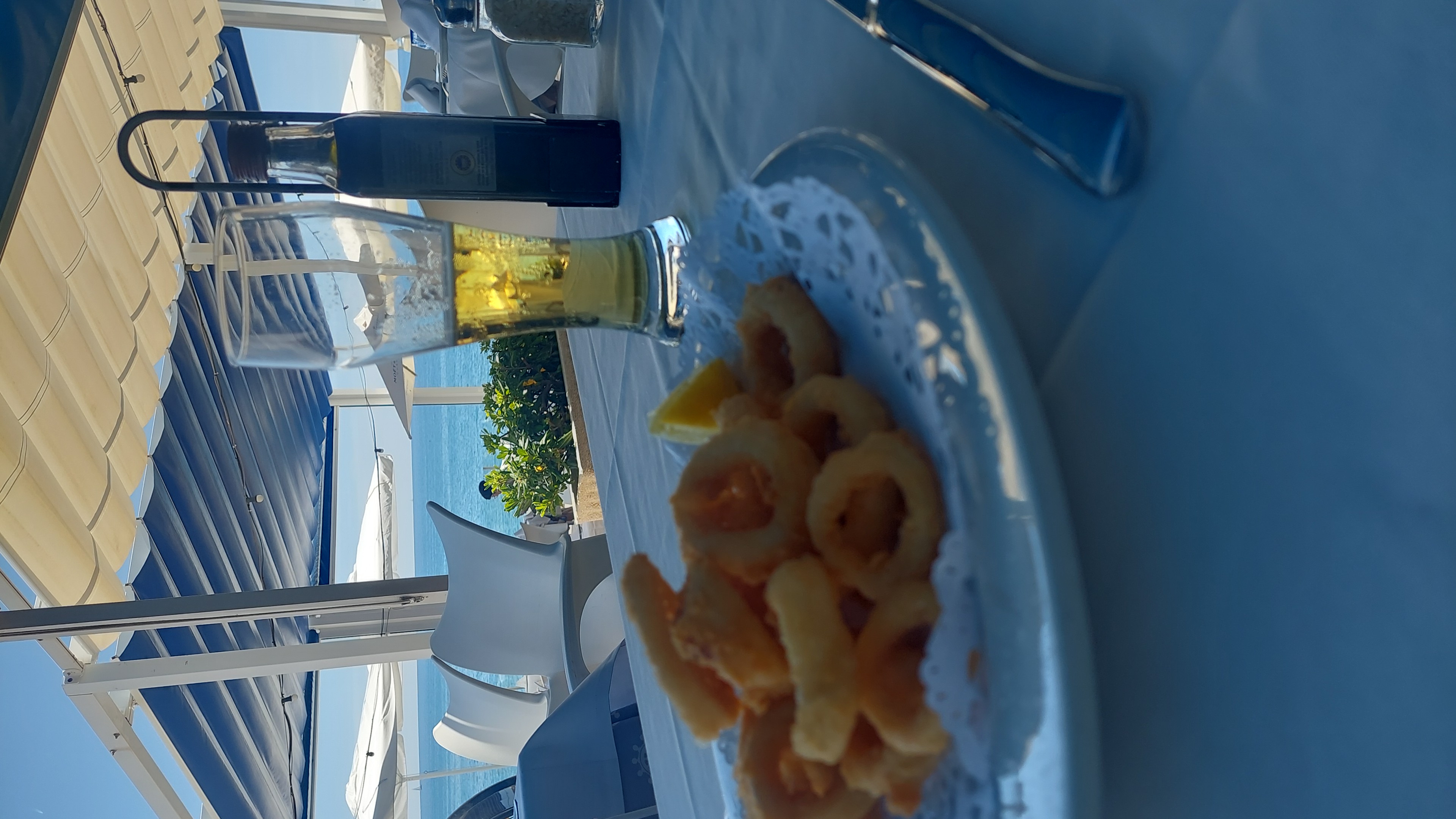 IMG-20230612-WA0053.jpeg