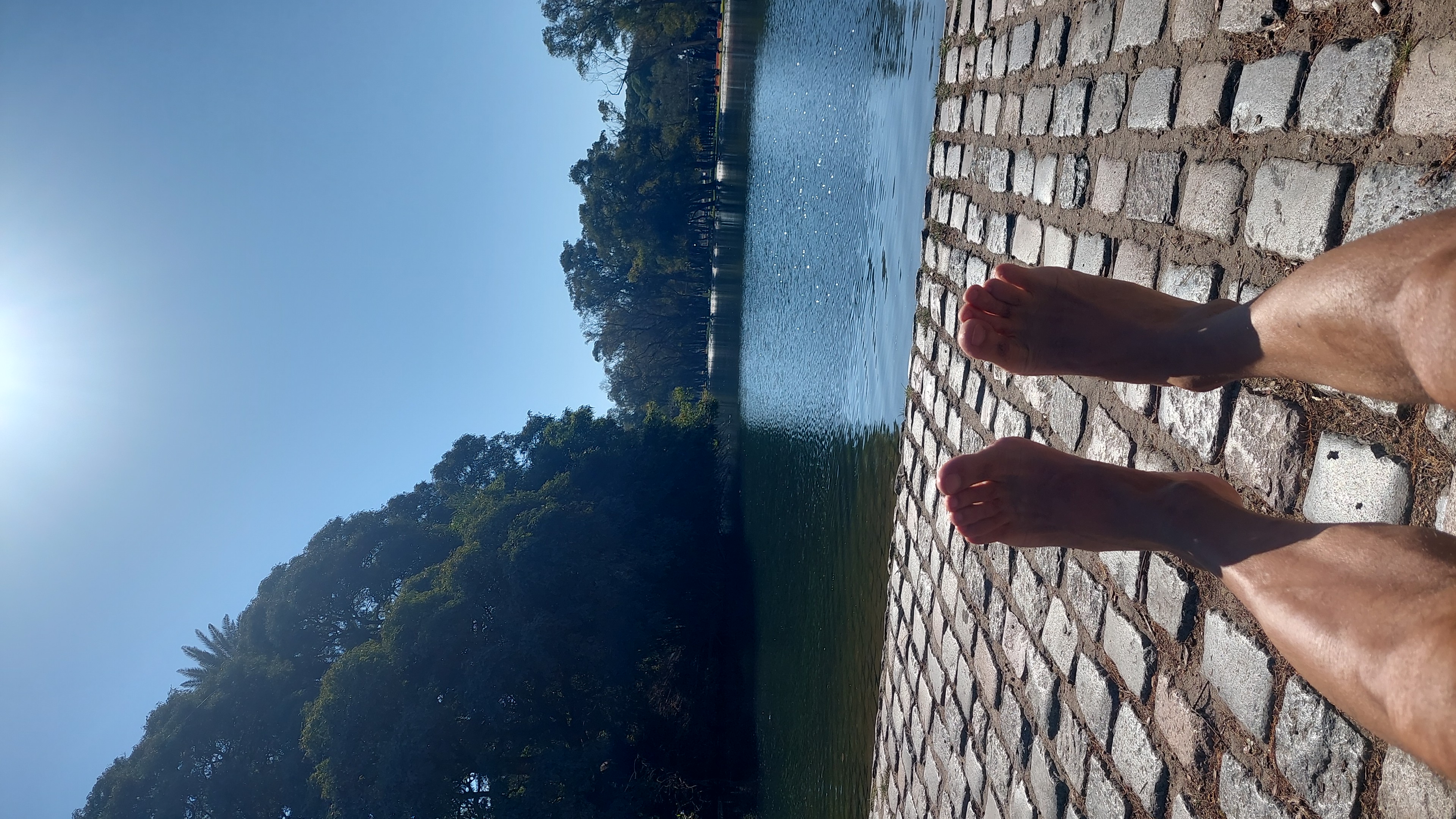IMG-20230801-WA0062.jpeg