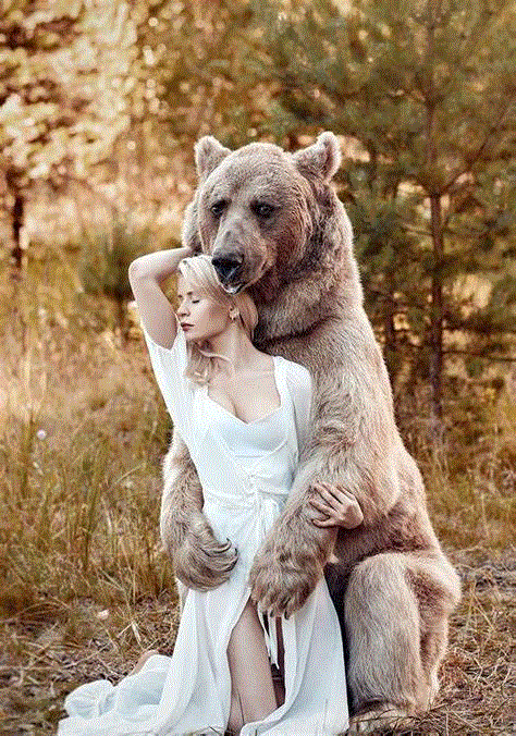 ggal600bear.gif