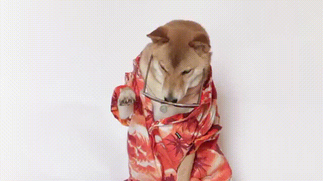 1694601895202.gif