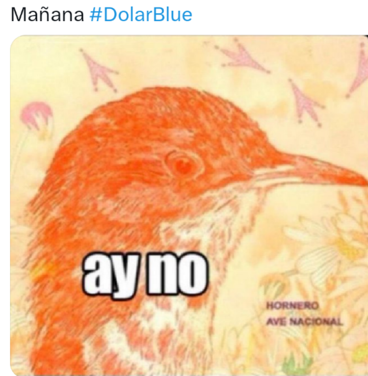 Screenshot_20231001-224345.png