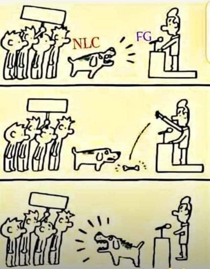 FB_IMG_1698937085668.jpg