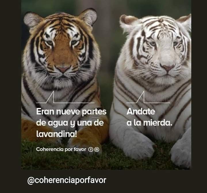 1da95ed12bca2285e5d8777a51f8e9ac.jpg