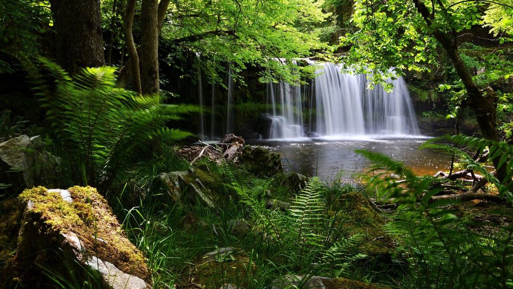 paisaje 4 cascada.jpeg