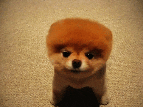 1704974347334.gif