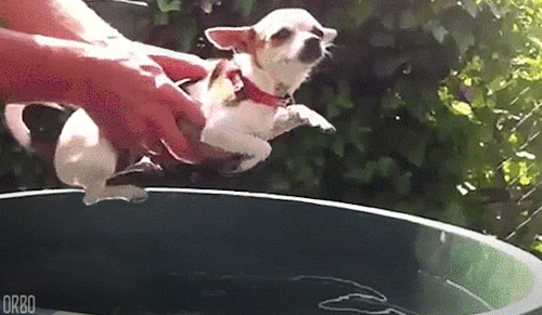 1700478299700.gif