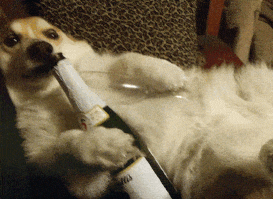 un kirchnerista.gif