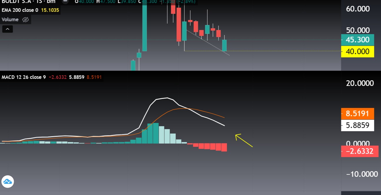 BOLT SEMANAL.jpg