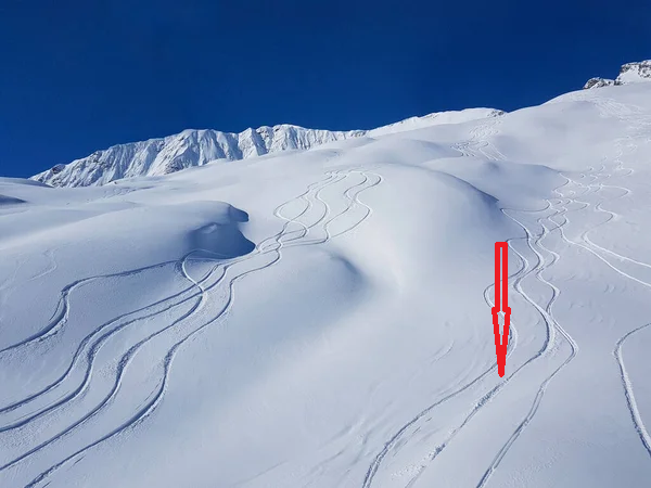 Huella de Esqui de danyf.png