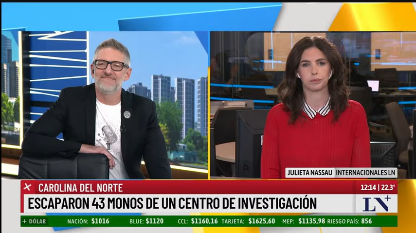 Monos.jpg