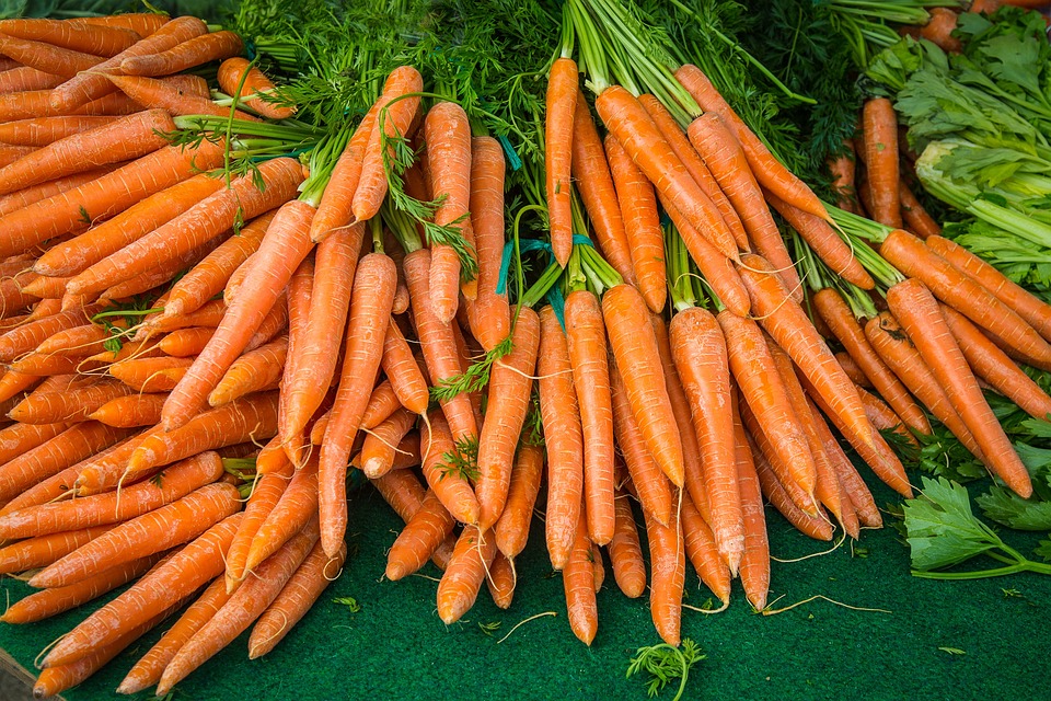 carrot-2309814_960_720.jpg