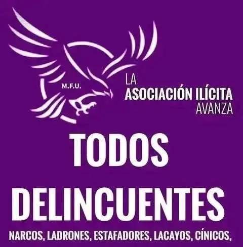 Asociacion Ilicita.jpg