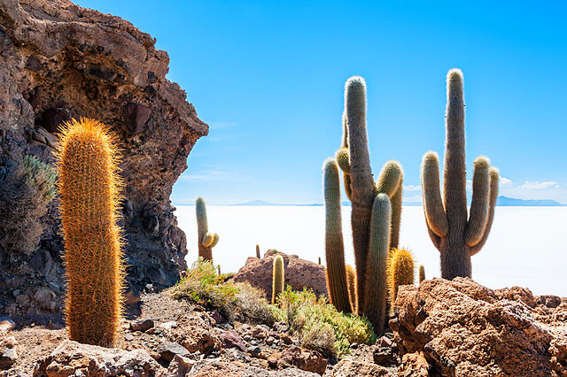 Desierto de atacama chile.jpg